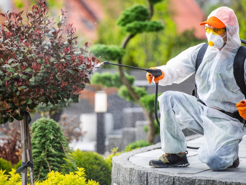 Ataşehir Haşere İlaçlama